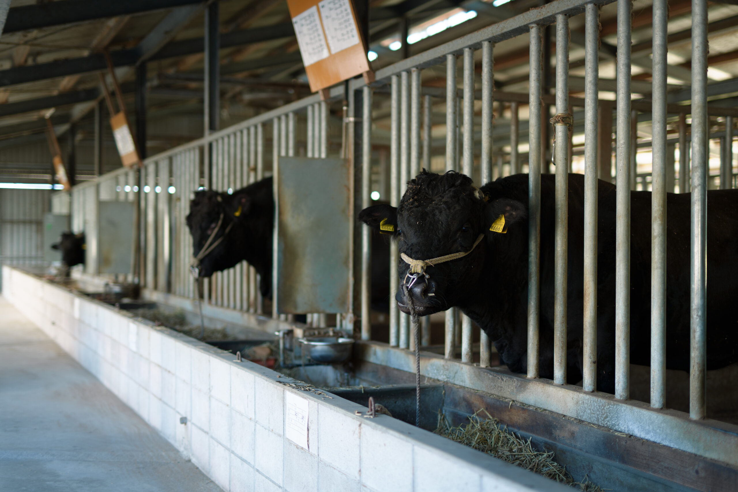 【正社員】農場施設管理