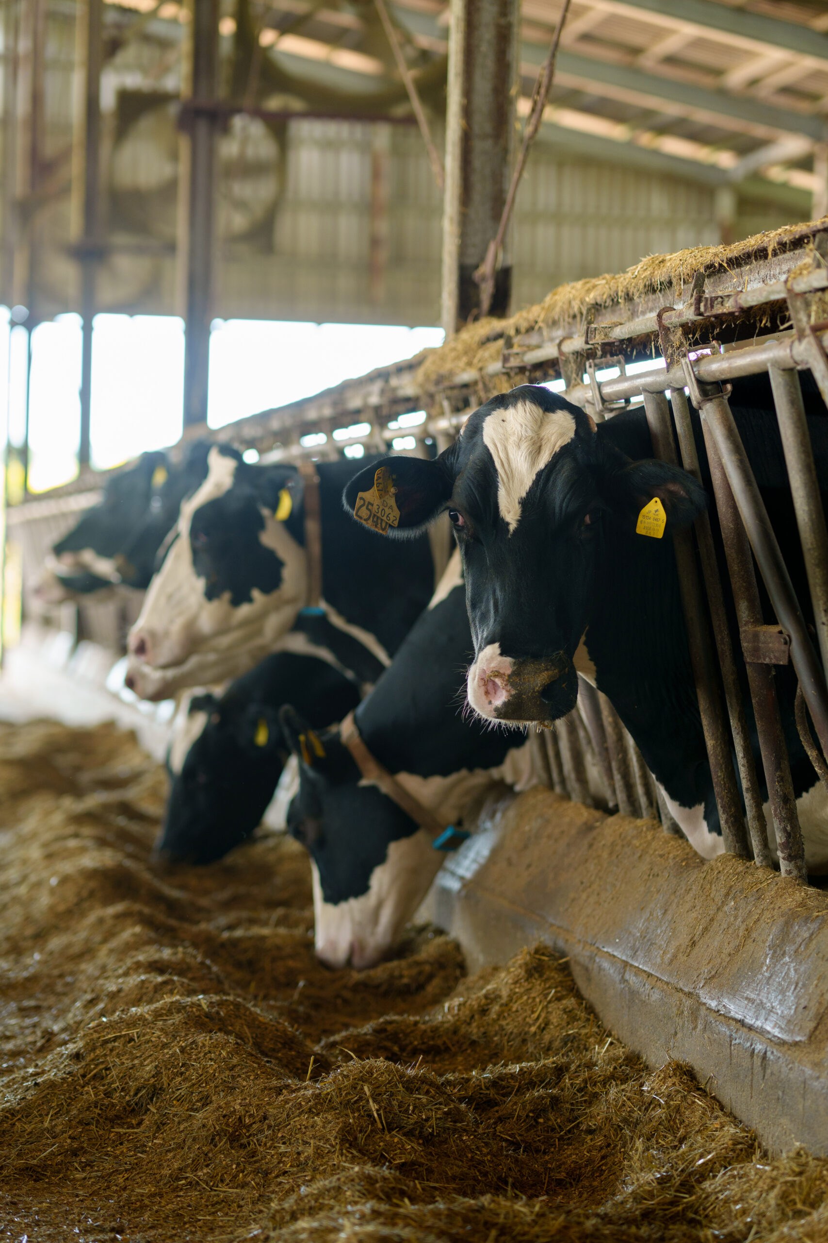 【パート】農場施設管理スタッフ